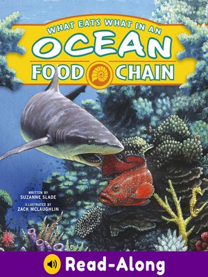 cover image of What Eats What in an Ocean Food Chain